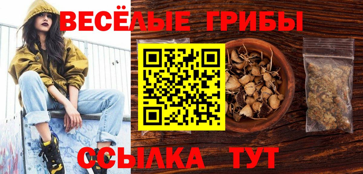 Галлюциногенные грибы мицелий Вышний Волочёк