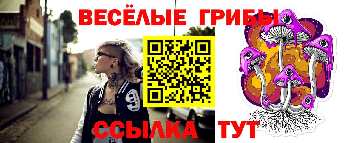 Вышний Волочёк  продажа наркотиков  Вход с VPN  Галлюциногенные грибы прущие грибы 