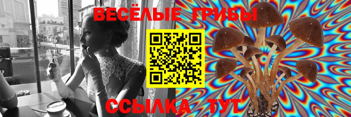 Галлюциногенные грибы Magic Shrooms  Вышний Волочёк  купить   Псилоцибиновые грибы мухоморы 